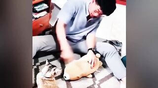 Funniest Videos