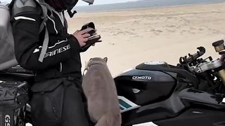 Motorcycle trip with your best friend