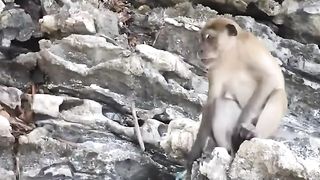 CUTE WIN LOL FUNNY