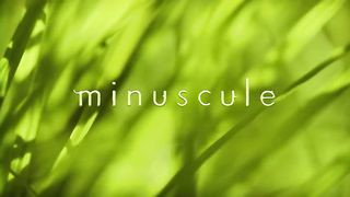Minuscule - Torpedo (Season 1).