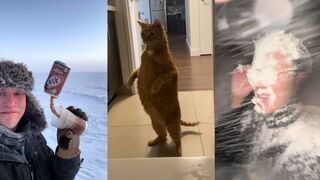 Best Funny tiktok Videos Compilation