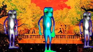 Frog dance #viralfebspot#ayyubminhas#muhammadayyub
