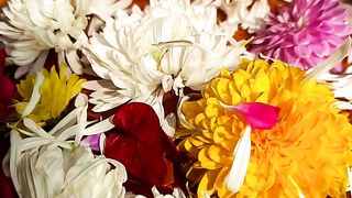 I love flowers