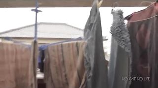 Funny Cat Jump Fail Compilation