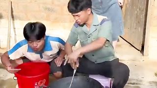 Comedy video