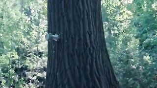 Amazing videos vol 437