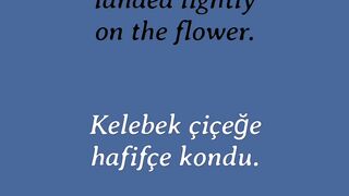 Learn English to Turkish Adverbs 134