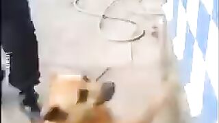 FUNNY LOL WIN CUTE