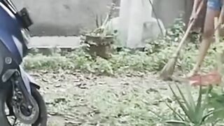 Indo film