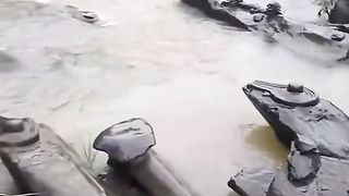 Amazing videos vol 441