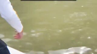 Shark attacks a fisherman