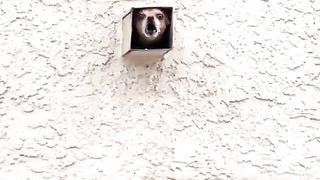 The facility is under protection