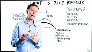 What is Bile Reflux?