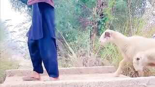 Chor video