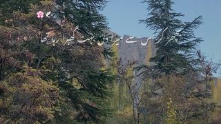 Urdu poetry