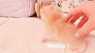 The cutest thing you will see today ????