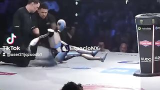 Robot vs ...