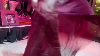 Bellydance (part 1 of 4) with Fez Tones Band at New Deal Cafe in Greenbelt, Maryland