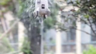 Water rocket