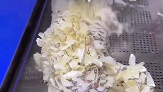 Fried fish scales