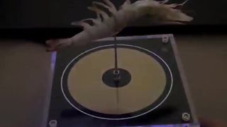 Electric speaker