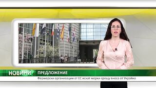 ФЕРМЕРСКИТЕ ОРГАНИЗАЦИИ ОТ ЕС ИСКАТ МЕРКИ СРЕЩУ УКРАИНСКИЯ ВНОС