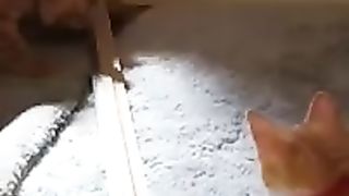Aww Cat ???? Funniest Dog ???? - New Funny Animal Videos 2023 #1