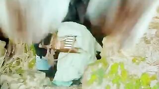 منکی کنگ اینڈ چائنی ٹائیگر کے درمیان فائٹ دیکھیں
