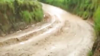 Vídeo engraçado