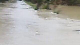 Suasana Banjir Aceh Utara