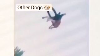 Watch Till end????????