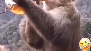 You wanna laugh  watch this