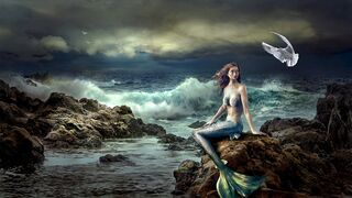 MERMAIDS the documentary brings you: Siren Song 360 Canto de sirenas