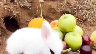 me and my friends