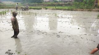 Looking For Fish in the Fields