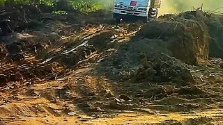 Dump truck Isuzu Elf 125 Ps