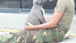 True dog love