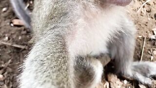 Blog vlog