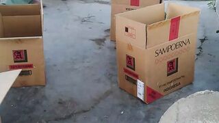 packing koi fish