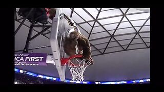 utah mascot