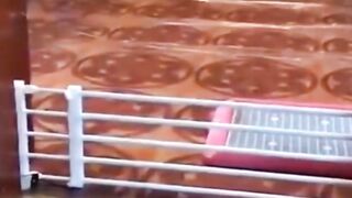 Funny animals