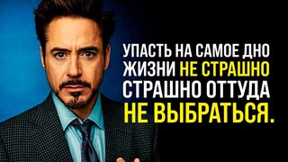 Роберта Дауни младший. История падения и взлета