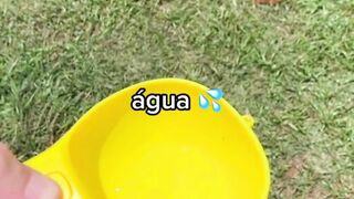 garrafinha de agua para cachorro