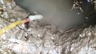 Monster Eel's Favorite Conch Meat Bait  - Part 1
