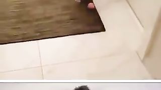 Funny_Animals___Part_44(360p).
