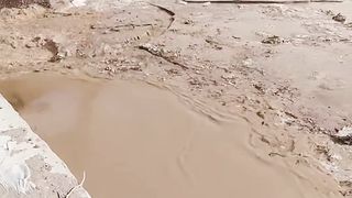 Amazing videos vol 448