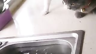 FUNNY