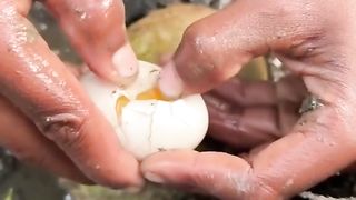 Catching_seafood