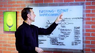 Brain Repair & BDNF Increase with Intermittent Fasting – Dr. Berg