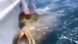 TRY TO PULL IT OUT!
